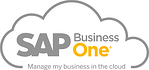 SAP Business One