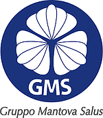 gms-1